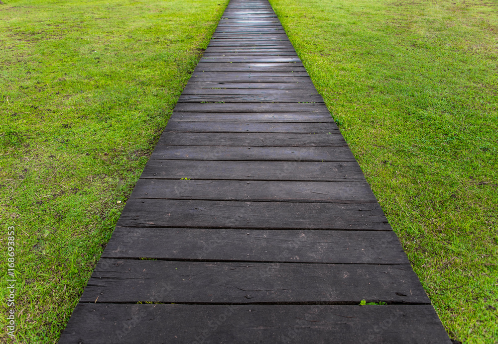 Wooden path through the lawn