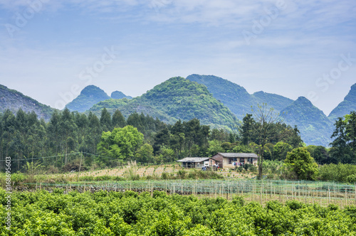 Wallpaper Mural The countryside scenery in summer  Torontodigital.ca