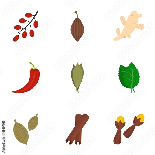 Cooking condiment icon set, flat style
