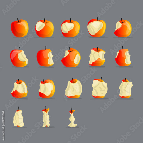 Stages of eating apple, sketch for your design