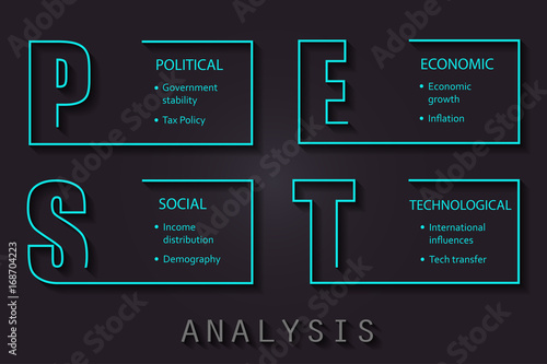 PEST Analysis font design on photo paper with main objectives - project management template