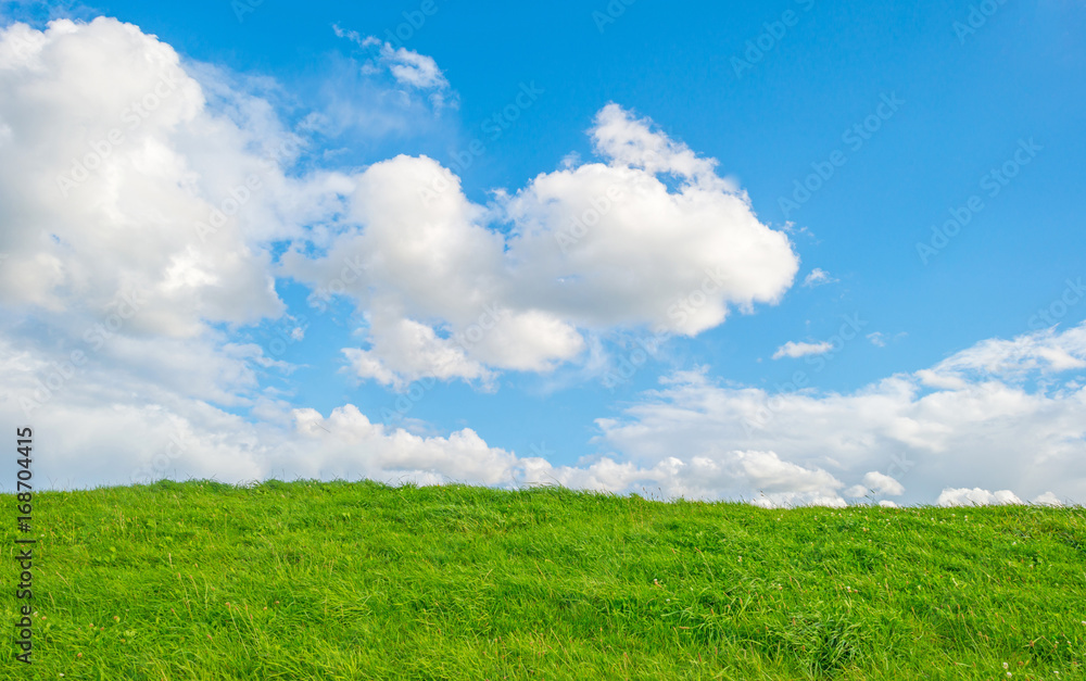 Green dike below a blue cloudy sky in sunlight in summer