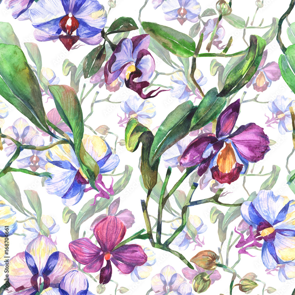 Wildflower orchid flower pattern in a watercolor style. Full name of the plant: orchid. Aquarelle wild flower for background, texture, wrapper pattern, frame or border.