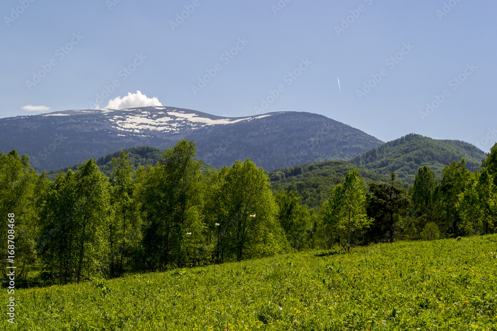 Fototapeta premium Altai mountains