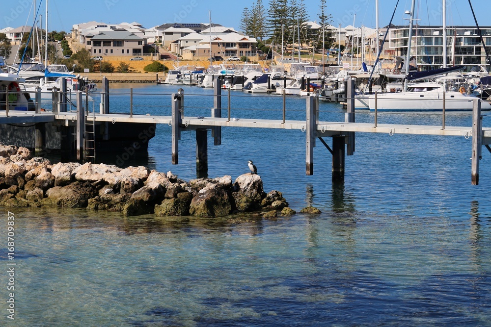 Australian lifestyle - Modern suburb with sailing boat habour 
