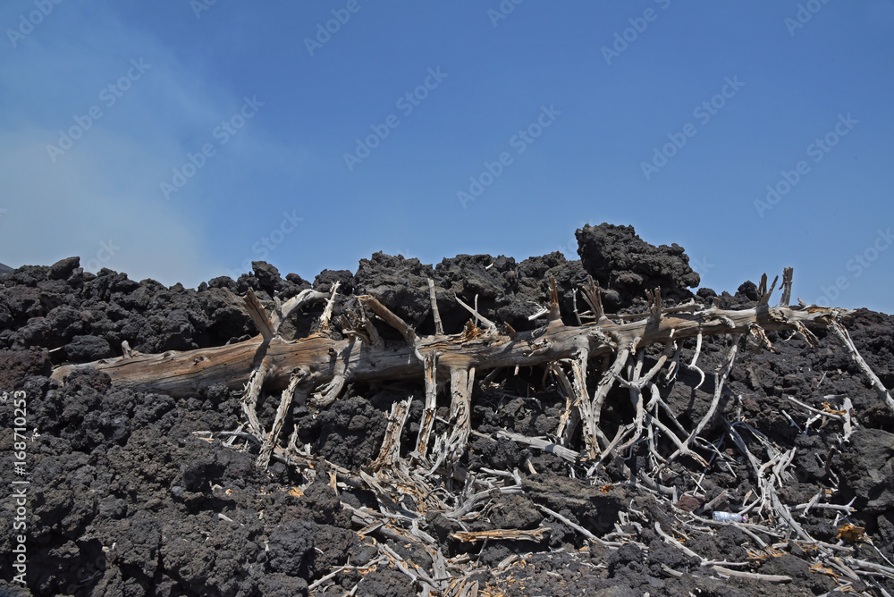 Fototapeta premium Paysage de lave sur l'Etna