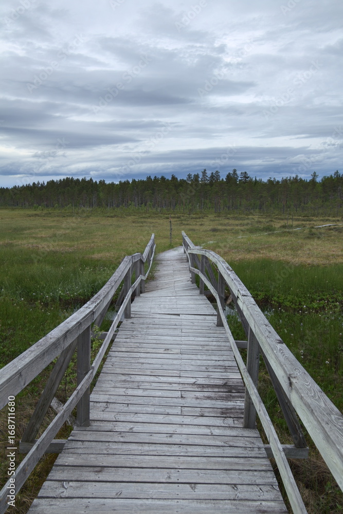 Wooden trail into the mire at Faenstjaernen in Vaermland, Sweden