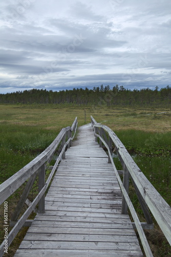 Wooden trail into the mire at Faenstjaernen in Vaermland  Sweden