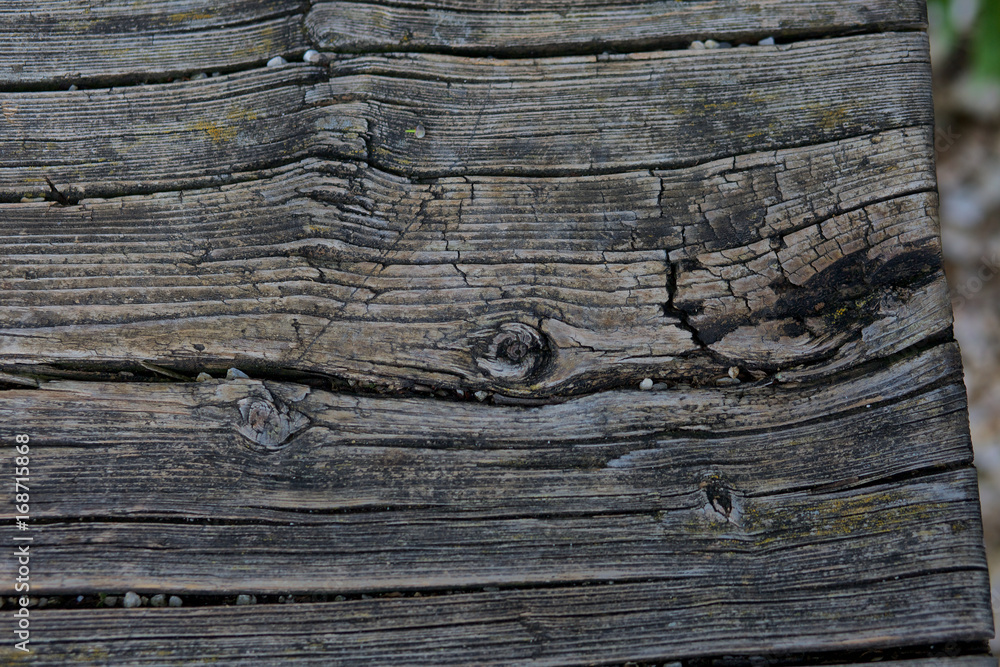 Obraz premium texsture