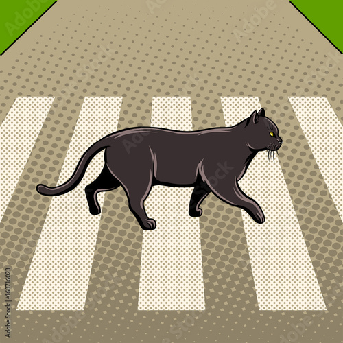 Black cat crosses the road pop art vector