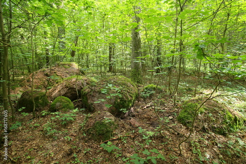 Remains of the megalithic tomb Forst Poggendorf 2 in Mecklenburg-Vorpommern, Germany