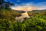 Nile river - Murchison Falls N.P. - Uganda