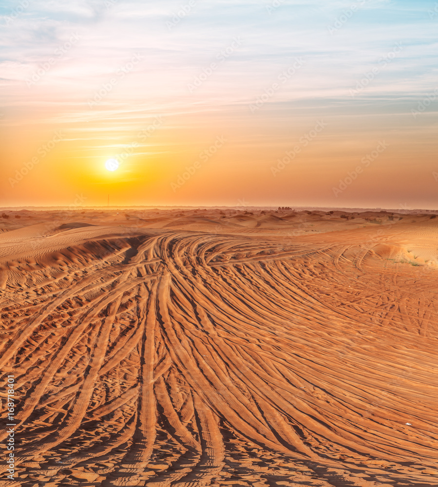 Naklejka premium Desert covered with tire-treads in the sunset.