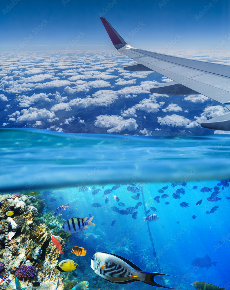 Fototapeta premium Conceptual picture. Sky and sea. Vacation.