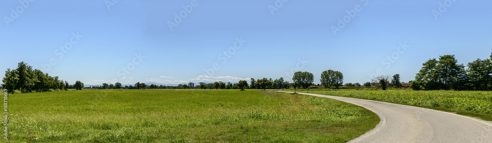 landscape with rice fields near Motta Visconti, Italy