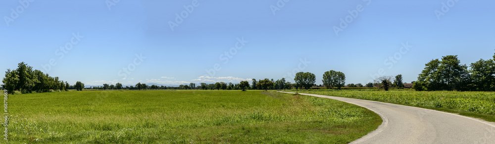 landscape with rice fields near Motta Visconti, Italy landscape with rice fields near Motta Visconti, Italy