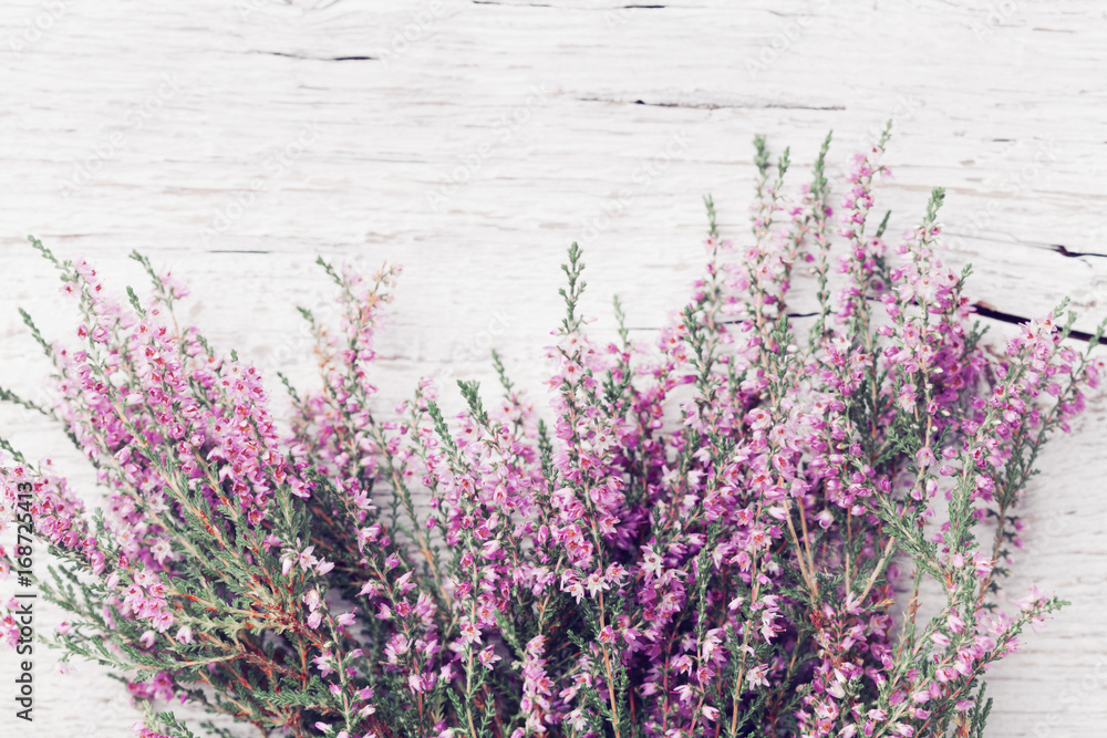 Bunch of heather flower (calluna vulgaris, erica, ling) on shabby