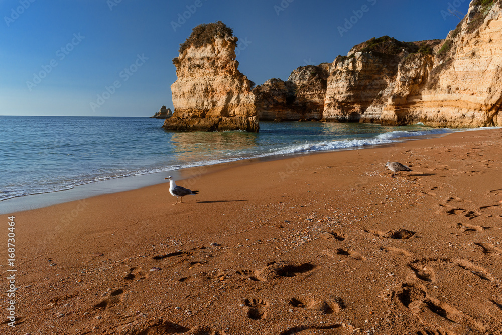 Coastline at Algarve, Atlantic ocean, Portugal