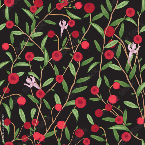 Cranberry seamless pattern. Detailed hand drawn branches with berries. Colorful hand drawn illustration.