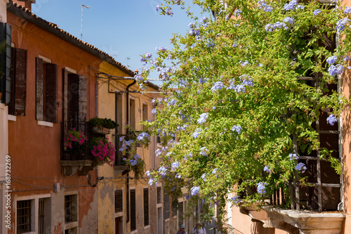 Casa de venecia con vegetación