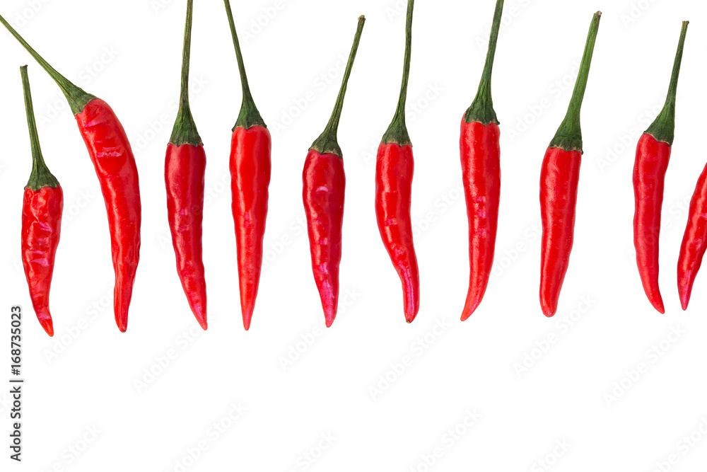 red hot chili peppers, popular spices concept - vertically stacked row of pods of the red hot chili peppers on a isolated background, top view, flat lay, free space for your text red hot chili peppers, popular spices concept - vertically stacked row of pods of the red hot chili peppers on a isolated background, top view, flat lay, free space for your text