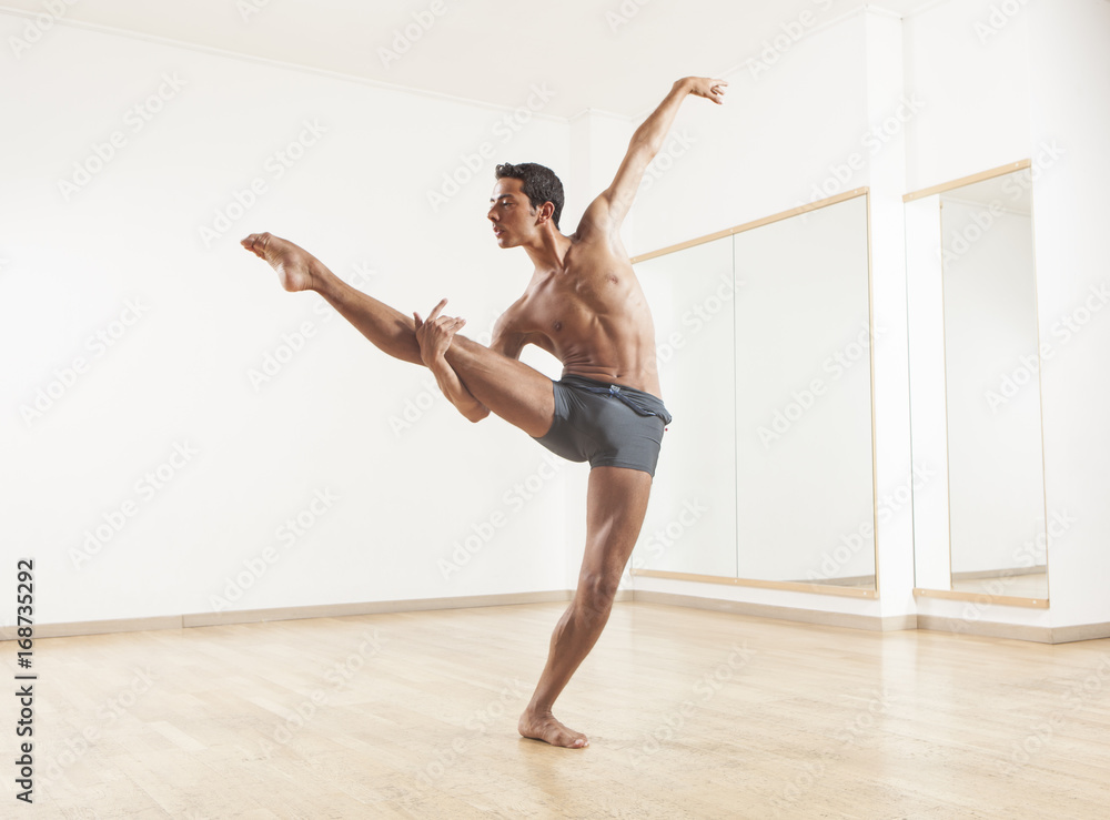 Fototapeta premium young and beautiful professional ballet dancer performing