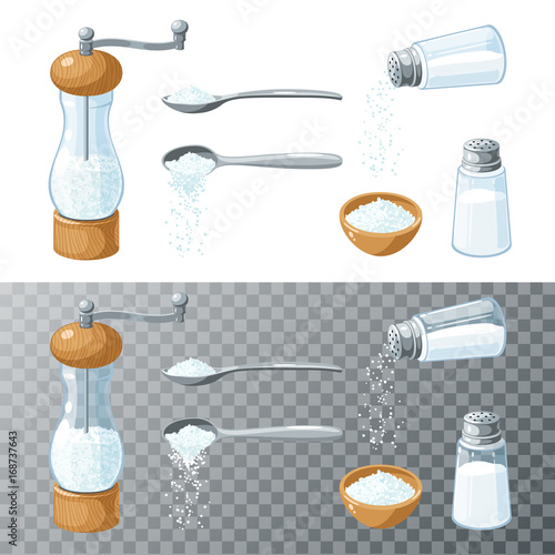 Salt collection. Transparent glass salt shaker with metal cap. Mill with wooden bottom and cap and metal handle. Metal spoon pouring salt. Vector cartoon illustration set flat icon isolated on white.