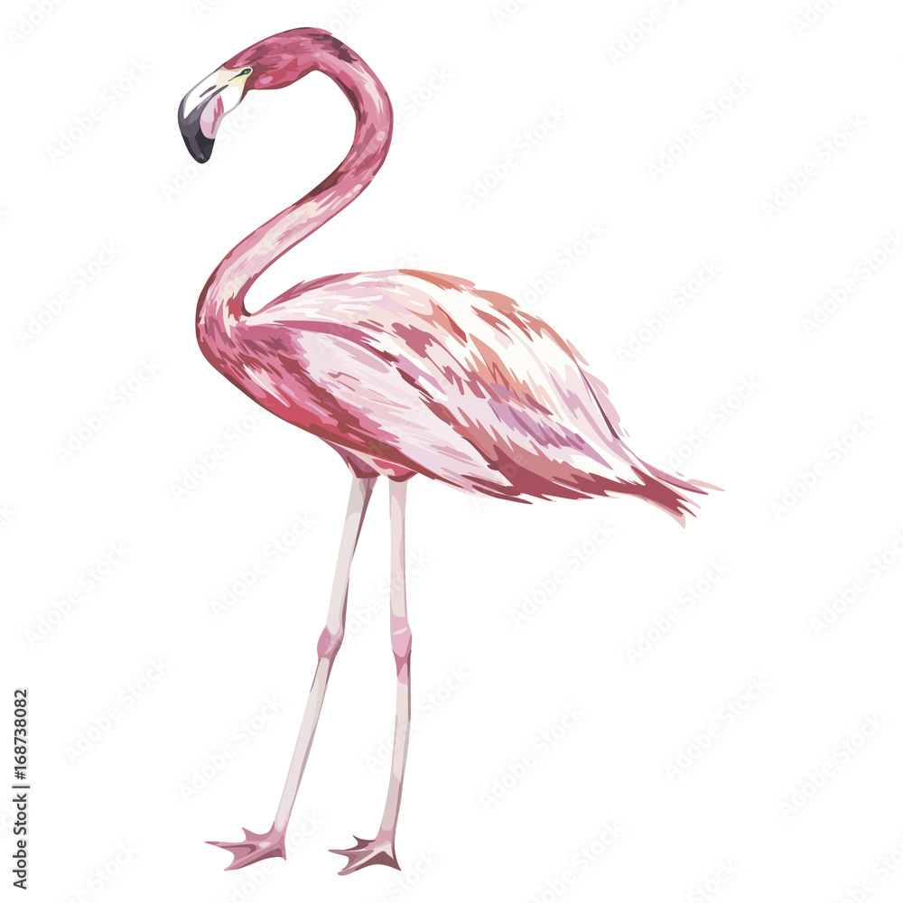 Fototapeta premium Pink flamingo watercolor illustration isolated on white background. Vector EPS 10