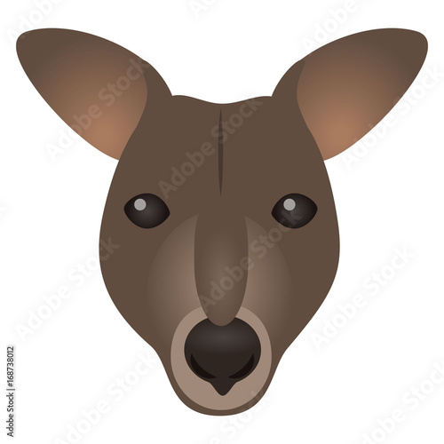 カンガルー