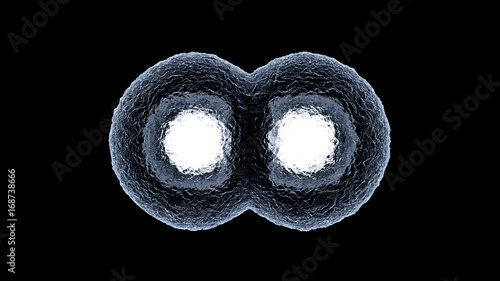 3D rendered illustration of Cell Replication photo