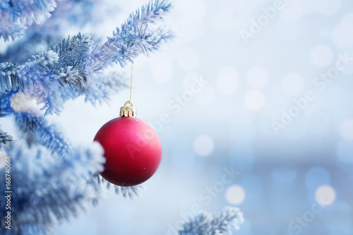 Red Christmas Ball Hanging on a Snow Tree Branch