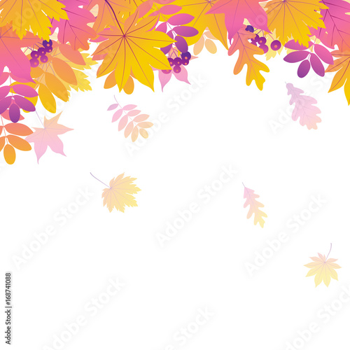  Background with autumn leaves. Vector illustration.