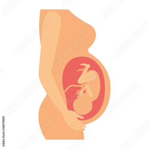 color silhouette of side view pregnancy process in female body fetus human growth ninth month