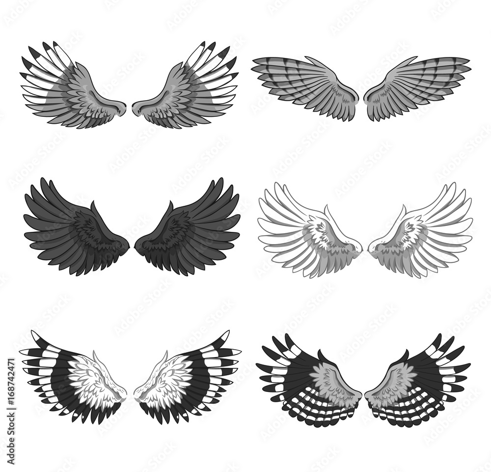Obraz premium Collection of 6 pairs of elegant bird or angel spread wings isolated on white background. Symbol of flight and freedom. Monochrome vector illustration for logo, banner, advertisement, tattoo.