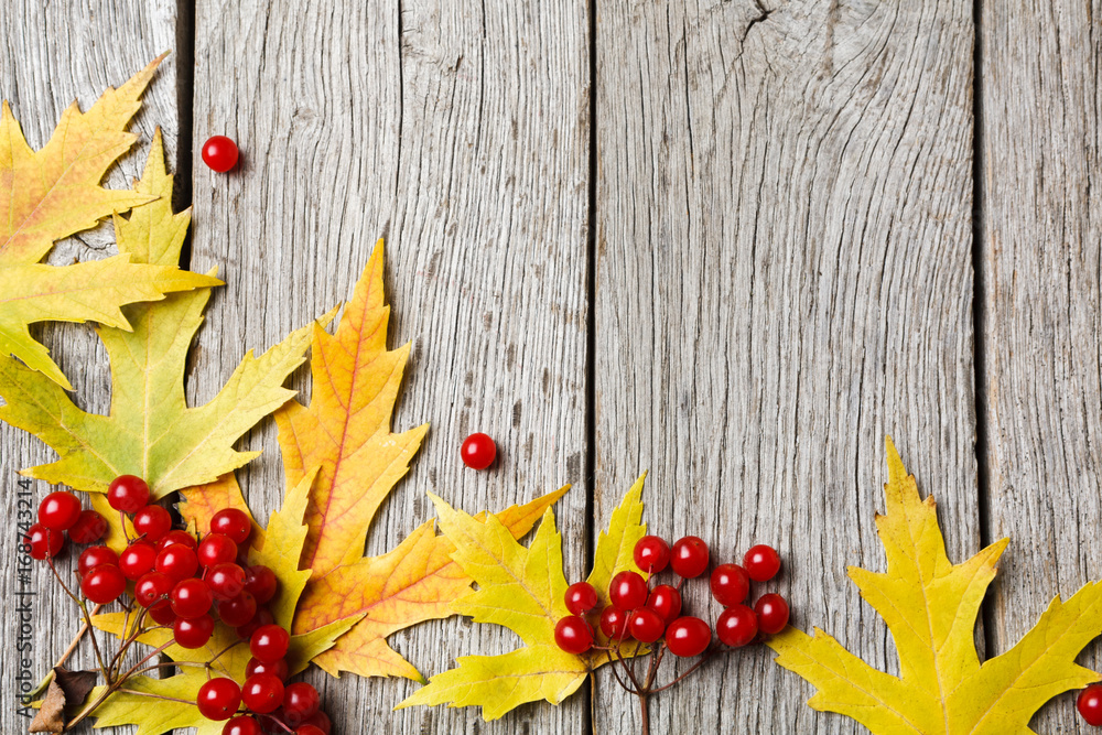 Obraz premium Autumn maple yellow leaves on rustic wood background