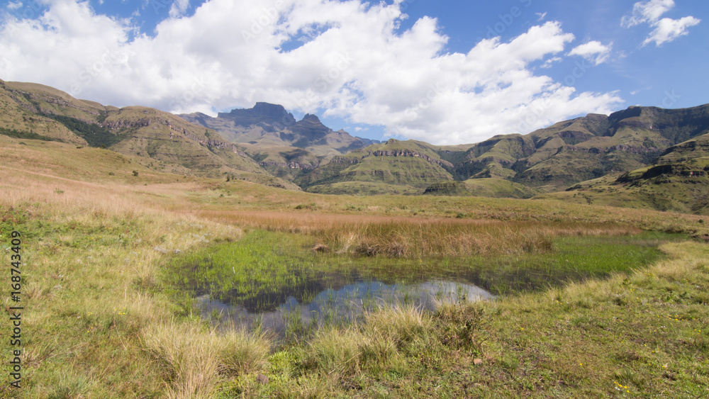 Landscape of wetland in the Central Drakensberg. 