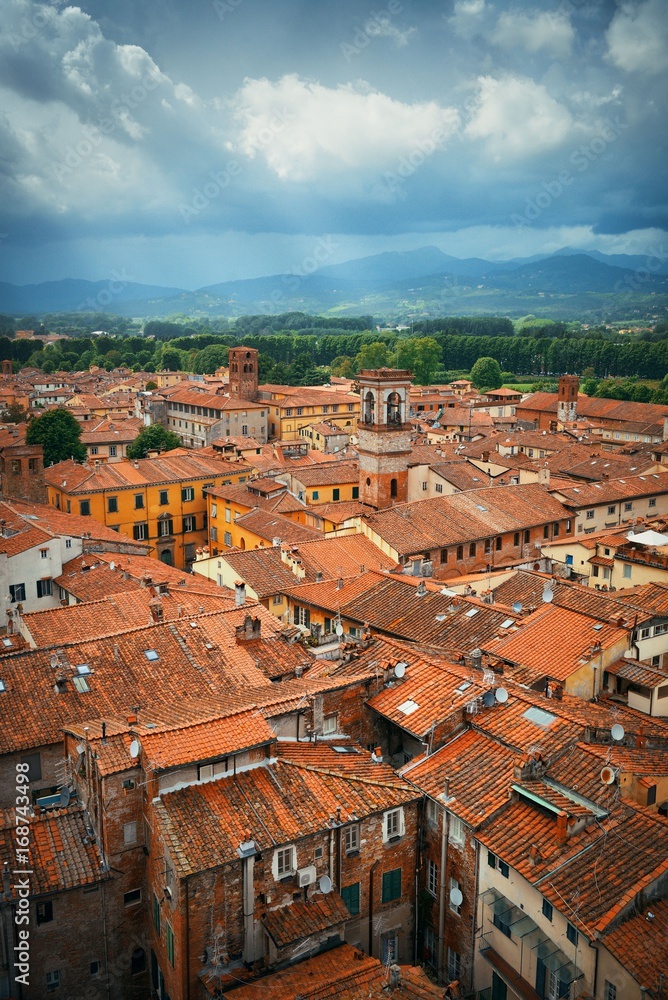 Lucca rooftop view with mountain