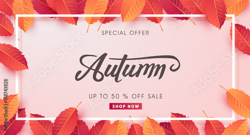 Autumn sale background layout decorate with leaves for shopping sale or promo poster and frame leaflet or web banner.Vector illustration template.
