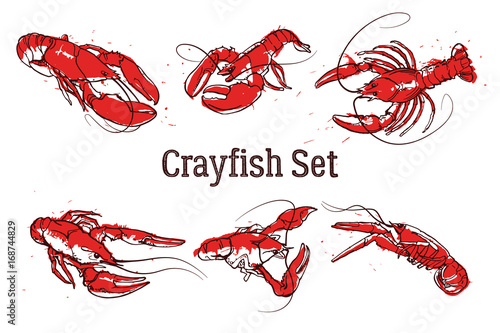 Hand drawn prawn or lobster. Text CRAYFISH SET. Sketch grunge vector set good for pub menu decoration