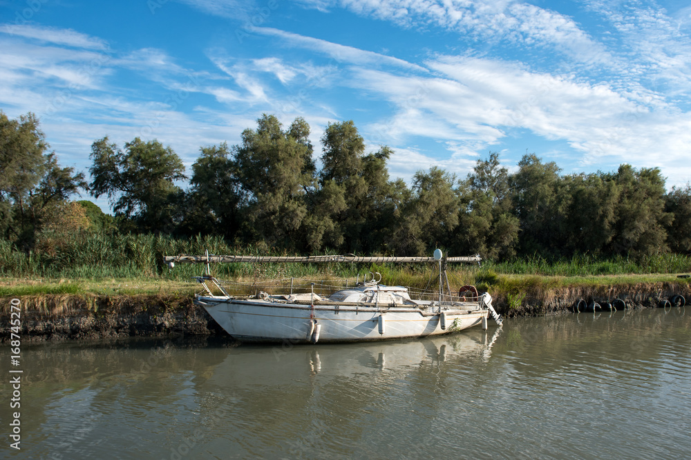 Old white boat moored to shore