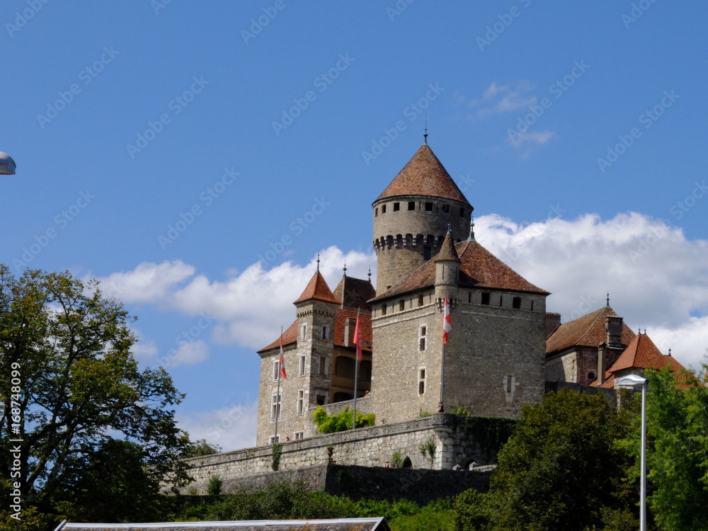 Château de MONTROTTIER-74330 Lovagny