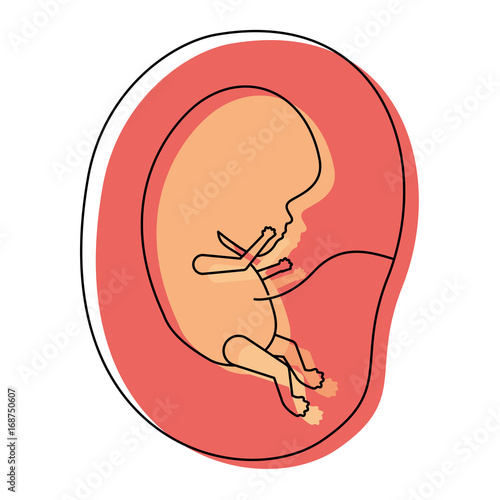 watercolor painted silhouette of side view fetus human growth in placenta