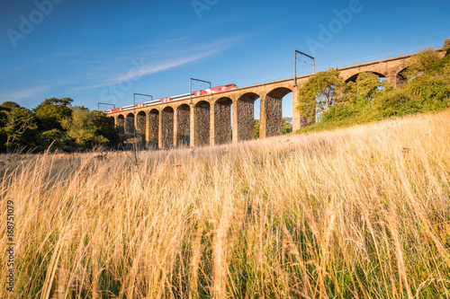 Lesbury Viaduct with Train / Lesbury Viaduct with a motion blurred train and hay, passing over the River Aln as it approaches the North Sea at Alnmouth