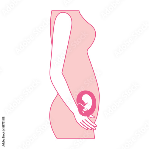pink silhouette of side view pregnancy process in female body fetus human growth