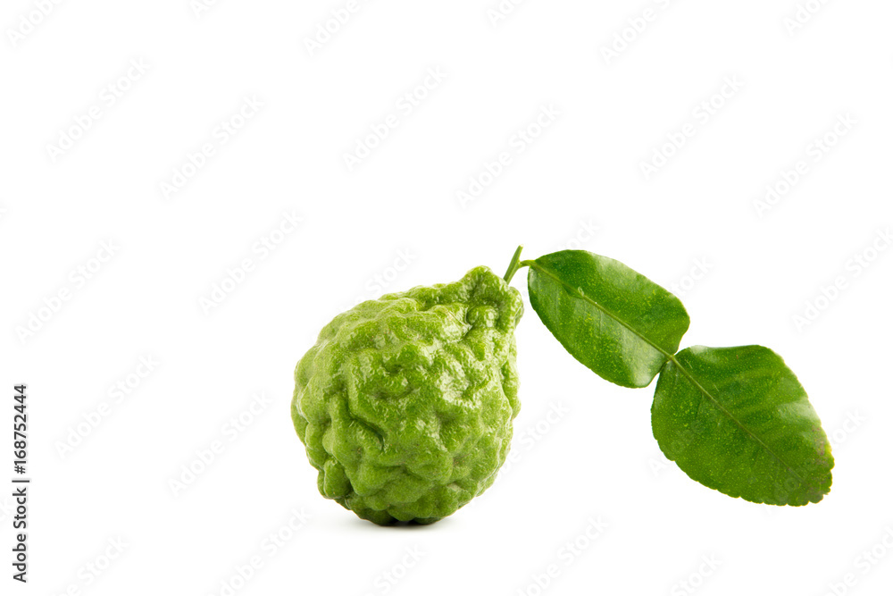 bergamot on the white background. bergamot on the white background.