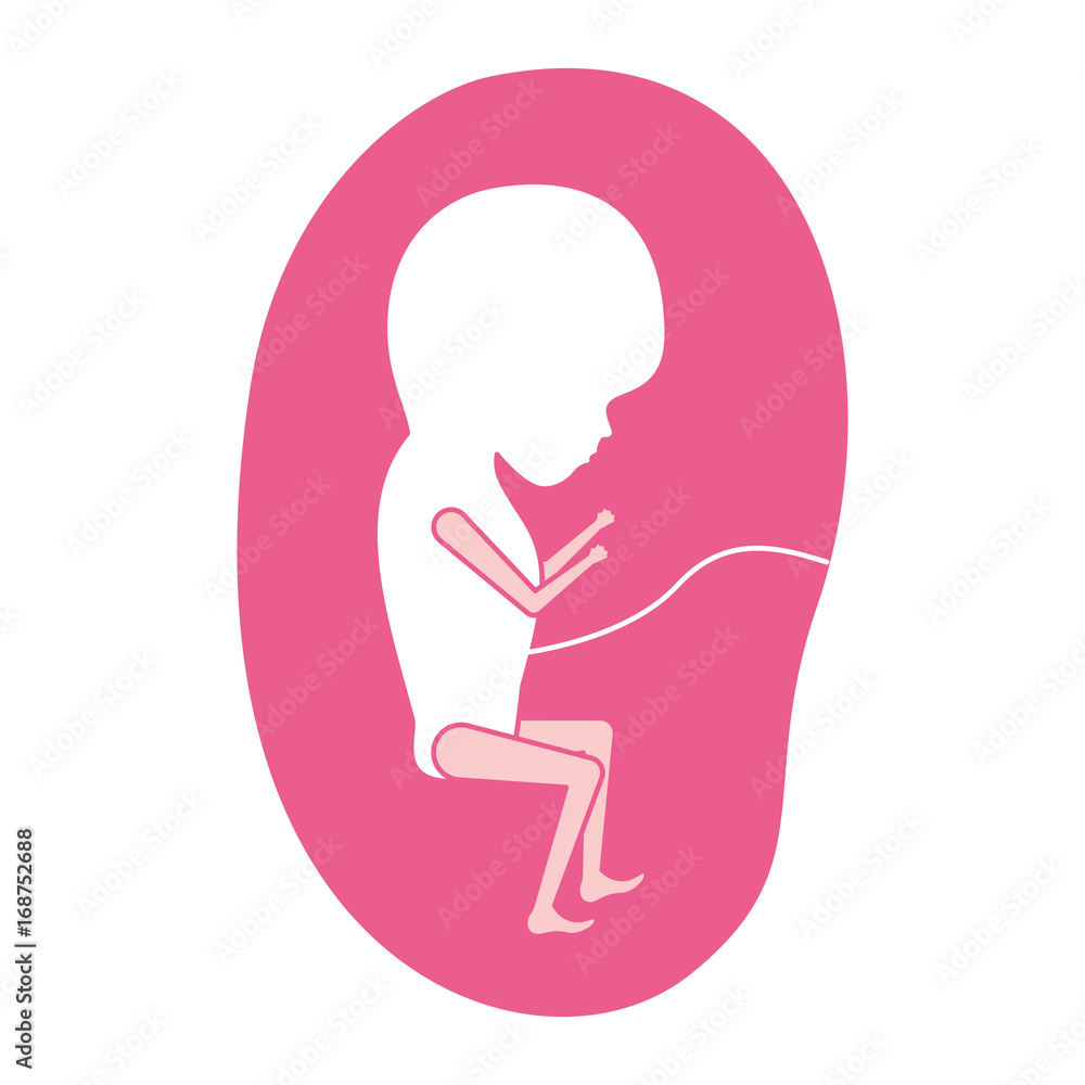pink silhouette of side view fetus human growth in placenta trimestrer pink silhouette of side view fetus human growth in placenta trimestrer