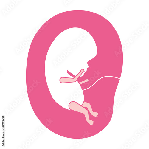 pink silhouette of side view fetus human growth in placenta