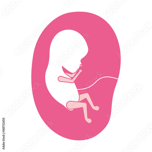 pink silhouette of side view fetus human growth in placenta a few weeks