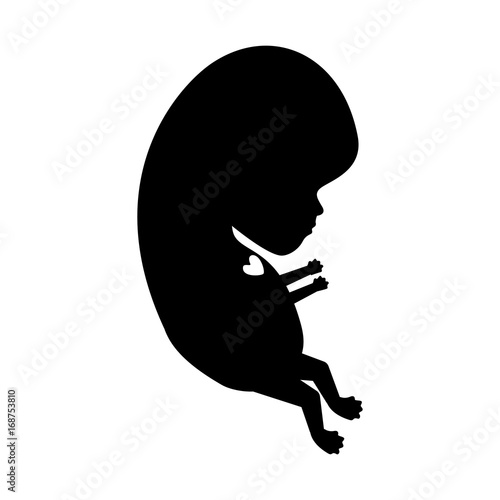 black silhouette of side view fetal growth