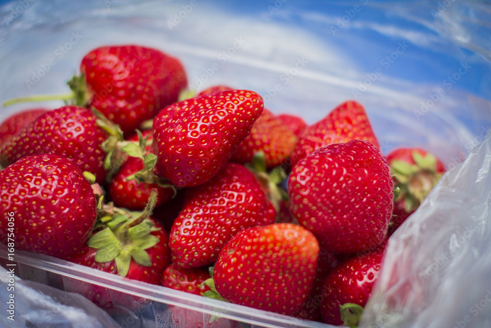 Strawberry Strawberry